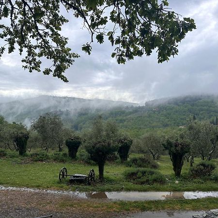 Podere Sagna Castellina in Chianti Exterior photo